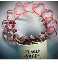 Mini Heart Houseplant Trellis, 3D Printed Support - thumbnail 1
