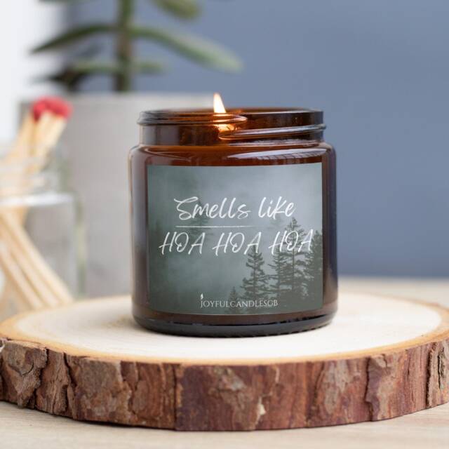 Snowny Splendor Bookish Candle Vegan Eucalyptus & Mint Scent - image 1