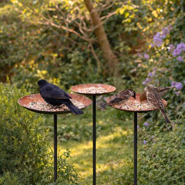 Set Of 3 Rusty Metal Bird Feeder Stakes - Garden Feeding Station Outdoor Tray Stand Wildlife Decor - image 1