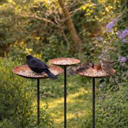 Set Of 3 Rusty Metal Bird Feeder Stakes - Garden Feeding Station Outdoor Tray Stand Wildlife Decor - thumbnail 1