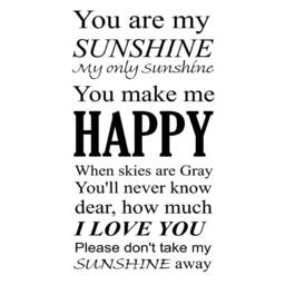 Nursery Wall Decal - You Are My Sunshine Vinyl Art Sticker Decor Quotes Babys Room Murals Vwaq - thumbnail 2