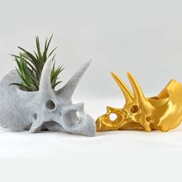 Triceratops Skull Air Plant Holder, 3D Printed Stegosaurus, Cacti Succulent Planter, Dinosaur Decor - thumbnail 2