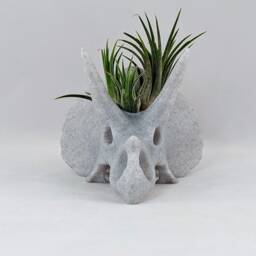Triceratops Skull Air Plant Holder, 3D Printed Stegosaurus, Cacti Succulent Planter, Dinosaur Decor - thumbnail 3