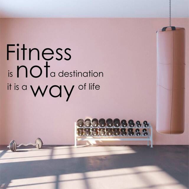 Fitness Is Not - 0142 Wall Art Decal, Transfer, Mural, Sticker, 75 Colours, 5 Sizes, Interior Or Exterior Use , Easy To Apply - image 1