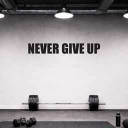 Motivational Wall Decal, Gym Decal Sticker, Classroom Decor. Never Give Up, Physical Therapy, Chiropractor, Fitness Studio 354 - thumbnail 3