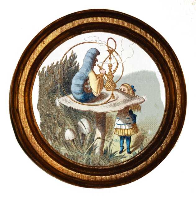 Alice in Wonderland Framed Art Print Illustration, Handmade Wooden Light Oak Picture, Meets The Caterpillar