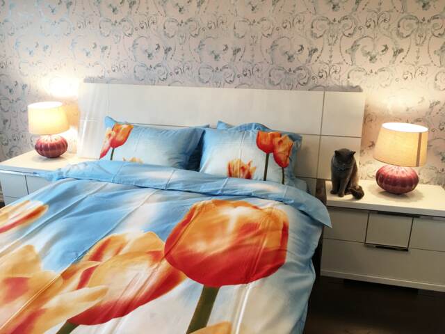 Floral 100% Cotton Queen Duvet Cover Set, 6-Piece Bedding - image 1