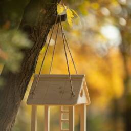Wooden Hanging Bird Feeder, Personalized Handmade Squirrel Garden Decore, Funny Feeder - thumbnail 2