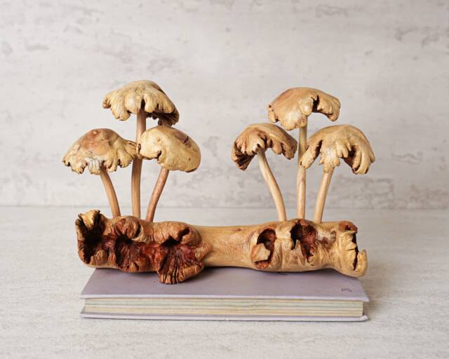 Unique Mushroom Sculpture, Forest Fungus Art, Statue, Mycology, Wood Carving, Rustic, Unique, Housewarming, Tabletop Decor, Gift For Her - image 1
