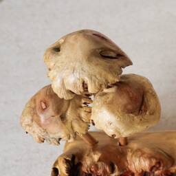 Unique Mushroom Sculpture, Forest Fungus Art, Statue, Mycology, Wood Carving, Rustic, Unique, Housewarming, Tabletop Decor, Gift For Her - thumbnail 4