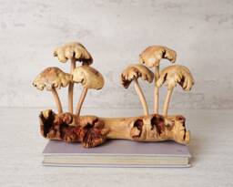 Unique Mushroom Sculpture, Forest Fungus Art, Statue, Mycology, Wood Carving, Rustic, Unique, Housewarming, Tabletop Decor, Gift For Her - thumbnail 1