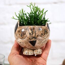 Handmade Ceramic Cat Planter, Animal Decor, Cactus Succulent Pot - thumbnail 2