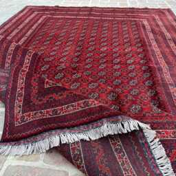 6x9 Large Red & Beige Afghan Bukhara Wool Carpet - Artisan Hand-Knotted Design Timeless Oriental Rug For Lounge, Dining Space Or Studio - thumbnail 4