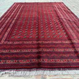 6x9 Large Red & Beige Afghan Bukhara Wool Carpet - Artisan Hand-Knotted Design Timeless Oriental Rug For Lounge, Dining Space Or Studio - thumbnail 3