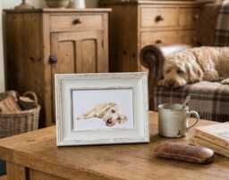 Labradoodle Print 17x12cm - White Rustic Frame - Fluffy Dog Wall Art, Gift For Doodle Lovers - thumbnail 1