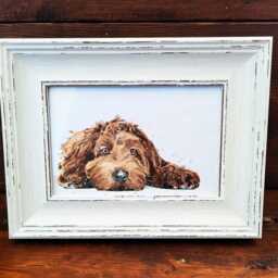 Labradoodle Print 17x12cm - White Rustic Frame - Fluffy Dog Wall Art, Gift For Doodle Lovers - thumbnail 3