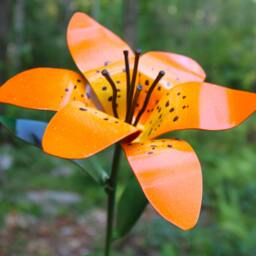 Metal Tiger Lily Steel Anniversary Bouquet, Handmade - thumbnail 4
