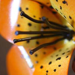 Metal Tiger Lily Steel Anniversary Bouquet, Handmade - thumbnail 3