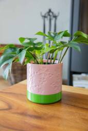 Sakura Planter - Modern Home Design Drainage Optional - thumbnail 1