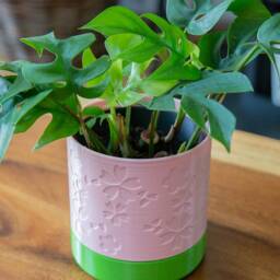 Sakura Planter - Modern Home Design Drainage Optional - thumbnail 4