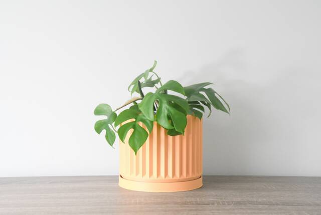 "Classical Planter With Drainage & Saucer in Orange Sherbet, Unique 3D-Printed Plant Pot, Small To Large Sizes 4"" 5"" 6"" 7"" 8" - image 1