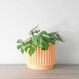 "Classical Planter With Drainage & Saucer in Orange Sherbet, Unique 3D-Printed Plant Pot, Small To Large Sizes 4"" 5"" 6"" 7"" 8" - thumbnail 3