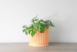 "Classical Planter With Drainage & Saucer in Orange Sherbet, Unique 3D-Printed Plant Pot, Small To Large Sizes 4"" 5"" 6"" 7"" 8" - thumbnail 1