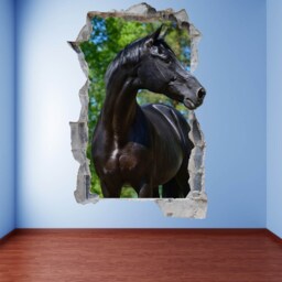 Black Horse Wall Decal Sticker Mural Poster Print Art Home Office Decor - thumbnail 2