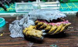 Land Shark - Digital File For 3D Printing - thumbnail 1
