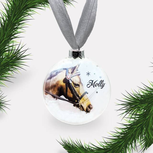 Personalised - Custom Pet Bauble. Glass Christmas Photo. Dog, Cat, Rabbit, Bird, Horse & More - image 1