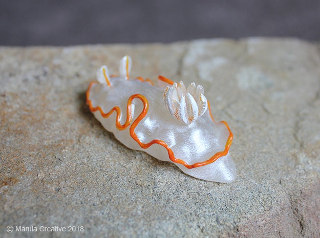 Lectra The Nudibranch - Ardeadoris Electra - image 1