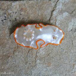 Lectra The Nudibranch - Ardeadoris Electra - thumbnail 4