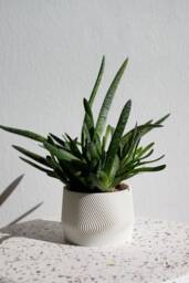 White Ribbed Planter Minimalist 3D Printed Plant Pot Mayla - thumbnail 1