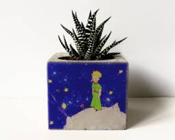 Printed Concrete Planter With Succulent Handmade Beton Plant Pot - thumbnail 1