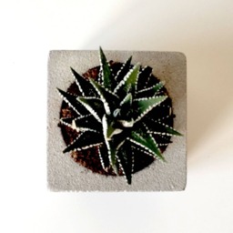 Printed Concrete Planter With Succulent Handmade Beton Plant Pot - thumbnail 2