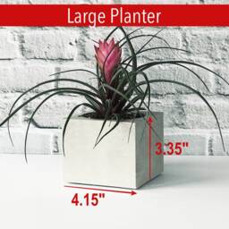 Printed Concrete Planter With Succulent Handmade Beton Plant Pot - thumbnail 4