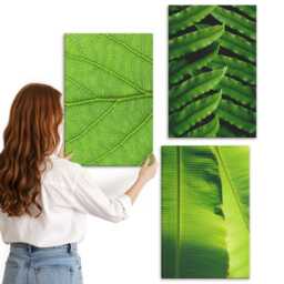 3 Piece Canvas Set - Close-Ups Of Tropical Leaves, Green Wall Art, Plants & Flowers Hanging - thumbnail 3