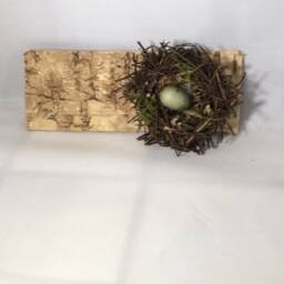 Birds Nest On Tree Bark With An Inscription. Great Gift's - thumbnail 2