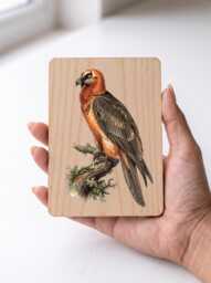Bearded Vulture Art Print - Vintage Lammergeier Mountain Bird Wall Pine Wooden Postcard - thumbnail 1