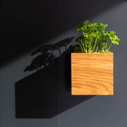 Magnetic Oak Wood Planter Wall Mounted Herb Garden - thumbnail 2