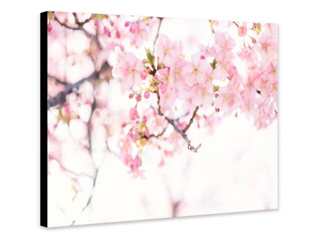 Cherry Blossom Pink Flower - Wrapped Frame Canvas Rolled Photo/Poster Print - image 1