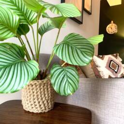 Jute Crochet Plant Holder - Bohemian Eco Friendly Handmade Basket Textured Fabric Pot Planter - thumbnail 3