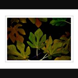 Beautiful Fall Wall Art, Rustic Decor, Colorful Art - thumbnail 2