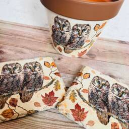 Brown Owl Plant Pot & Coasters, Flower Pot, Autumn Home Decor, Gift Set - thumbnail 2