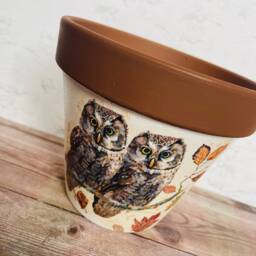 Brown Owl Plant Pot & Coasters, Flower Pot, Autumn Home Decor, Gift Set - thumbnail 3