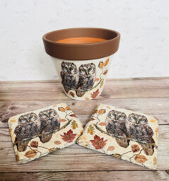 Brown Owl Plant Pot & Coasters, Flower Pot, Autumn Home Decor, Gift Set