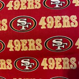 San Francisco 49Ers Pillowcase - thumbnail 2