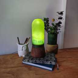 Mandala Lite Green Forest - Upcycled Led Lamp With Rainforest Scenery, Projects On The Ceiling