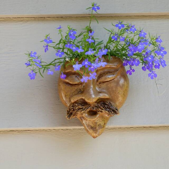 Crazy Planter Head - image 1