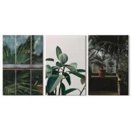 Canvas Art Set Of 3 - Green Leaves On The Window & Plants Inside, Photo Print, Flowers Wall Decor - thumbnail 3